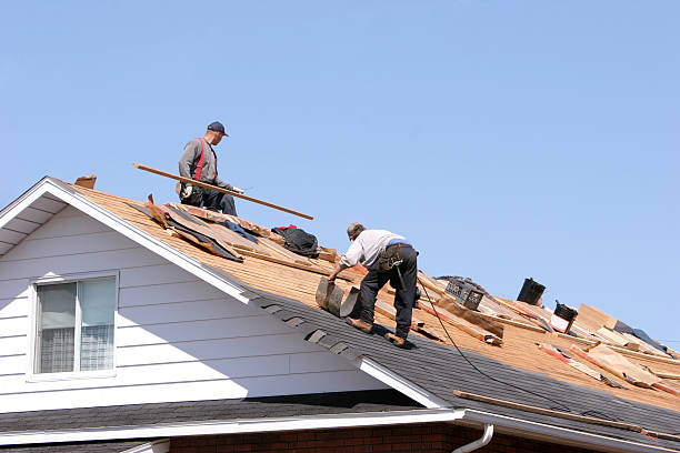 Best Cold Roofs  in Medina, OH